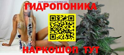 прущие грибы Бугуруслан
