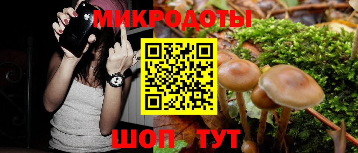 Махачкала  Галлюциногенные грибы мицелий  Вход с VPN 