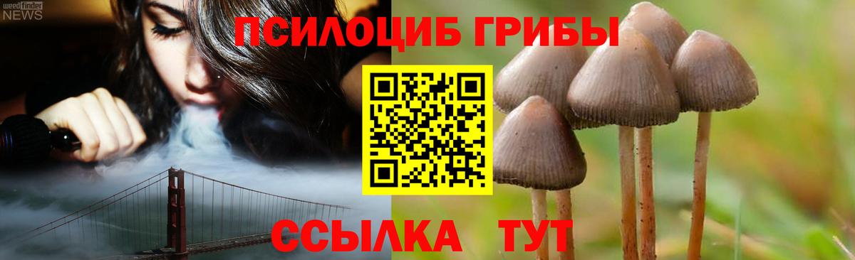 Псилоцибиновые грибы мицелий Махачкала